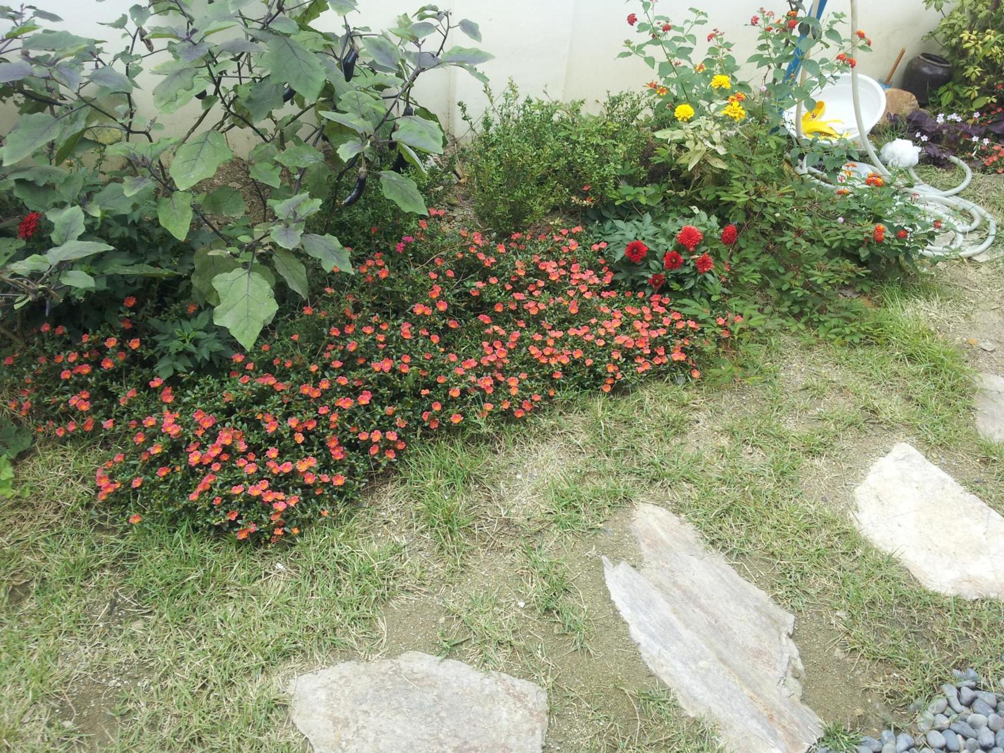 Jeonju Nostalgic Home Eksteriør billede